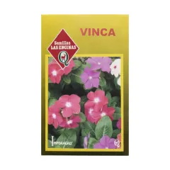 Semillas Sobre Las Encinas Vinca