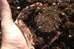 Mezcla de Germinación LMV 1 lt