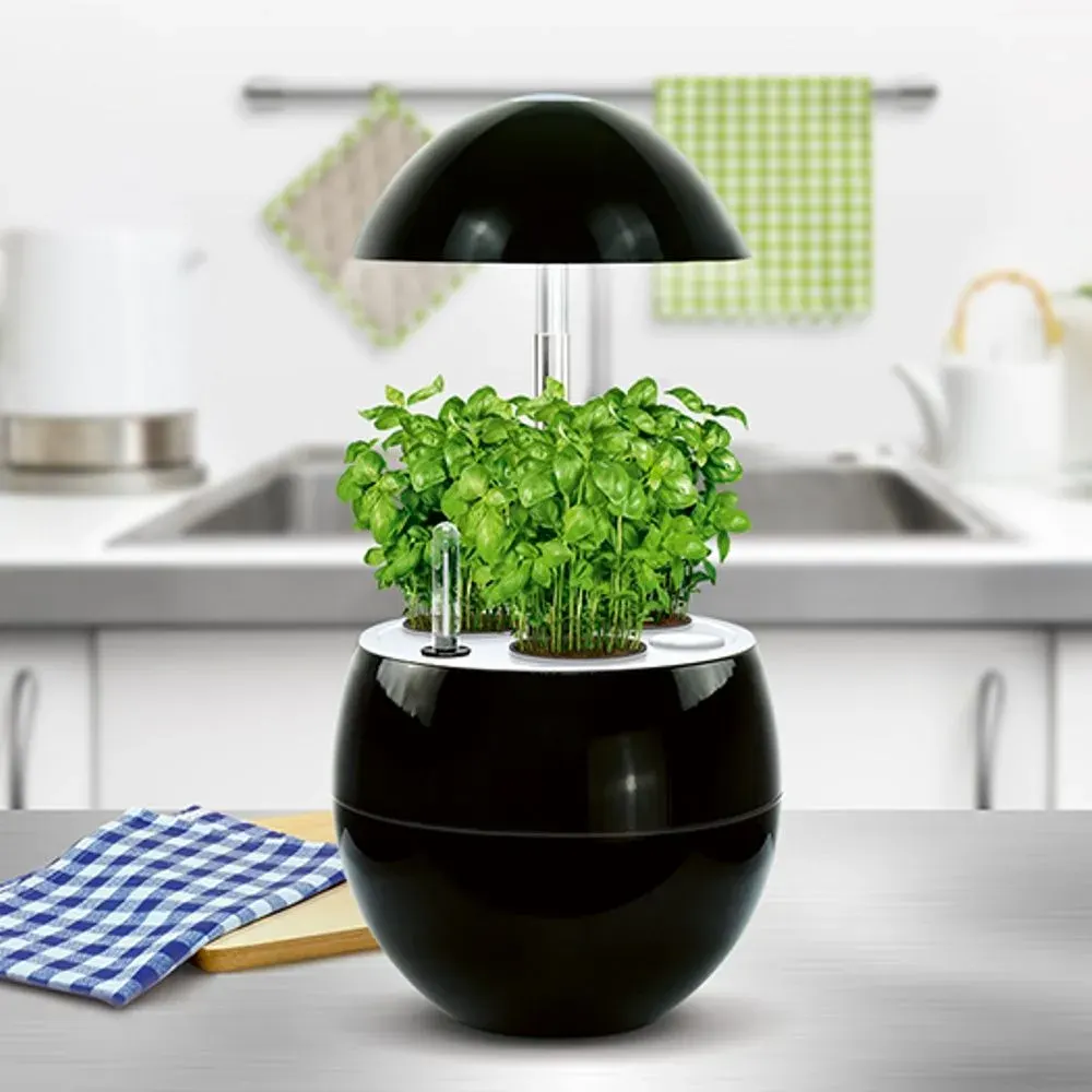 Jardin Indoor Grow Vilma Comet1