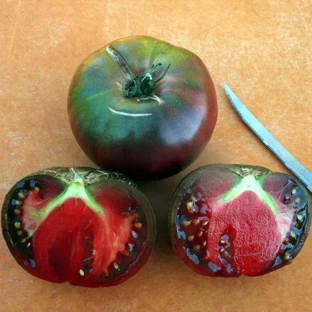 Sobre Semillas Tomate Antiguo Orgánico # 37 Black From Tula 10 Semillas1
