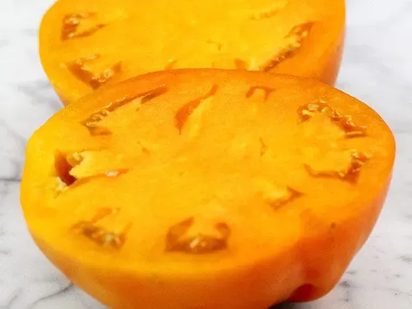 Sobre Semillas Tomate Antiguo Orgánico # 23 Dad´s Sunset 15 Semillas1