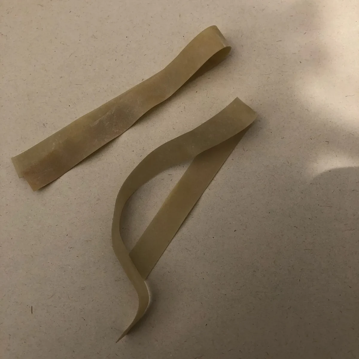 Cinta elástica para injertar biodegradable 20 cm1