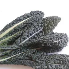 Semillas Kale Nero Di Toscana 2 gr1