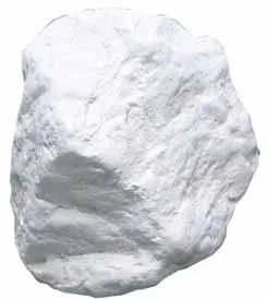 Diatomita Insecticida Organico 100 gr1
