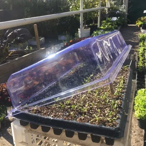 Tapa de Almaciguera sin Ventilacion Unidad1