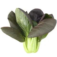 Semillas de Pak Choi rojo F1 1 gramo1