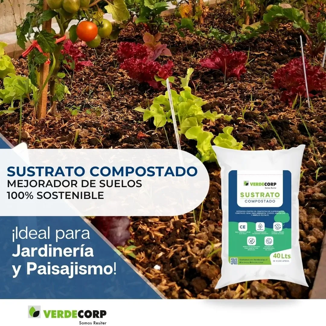 Tierra de bosque (de pino) saco 40 lts3