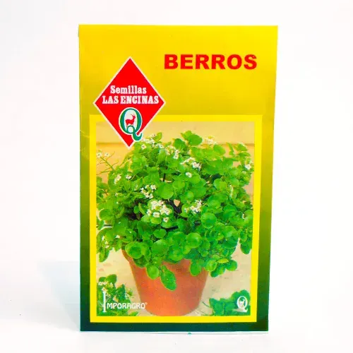 Semillas Sobre Las Encinas Berros1