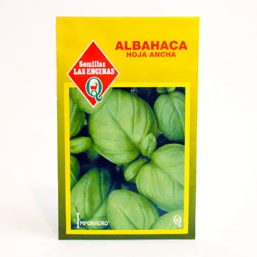 Semillas Sobre Las Encinas albahaca hoja ancha1