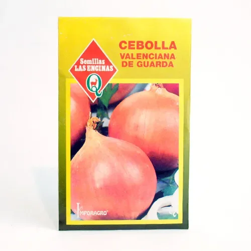 Semillas Sobre Las Encinas Cebolla Valenciana de Guarda1