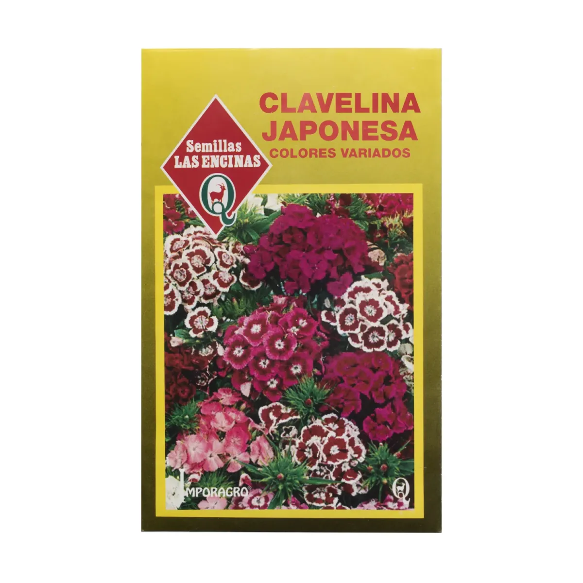 Semillas Sobre Las Encinas Clavelina Japonesa1
