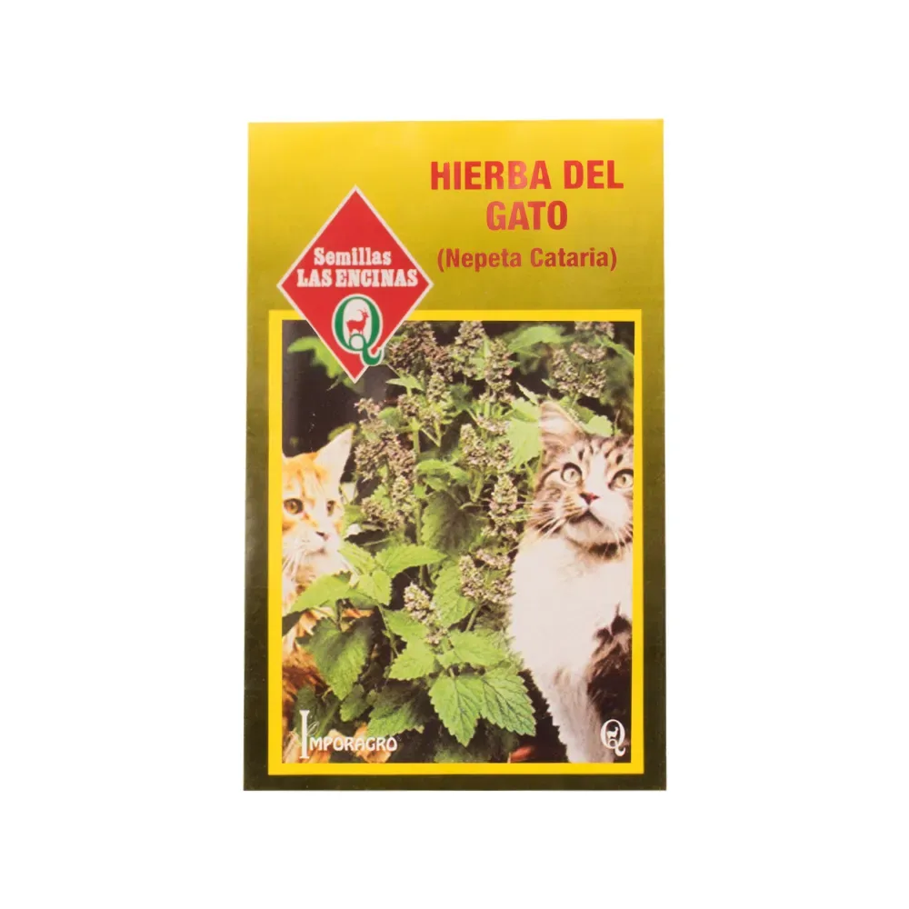 Semillas Sobre Las Encinas Hierba del gato1