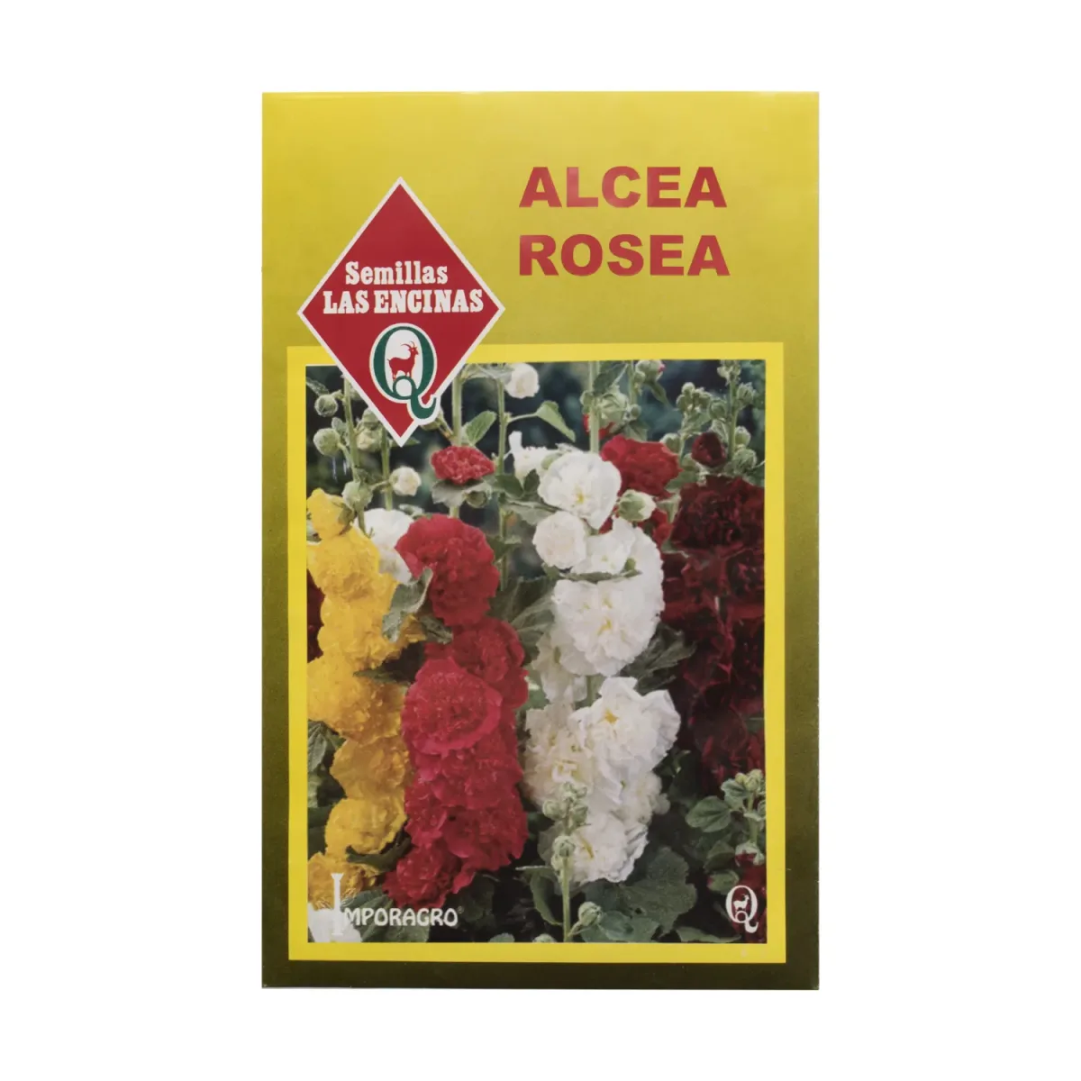 Semillas Sobre Las Encinas Alcea Rosea1