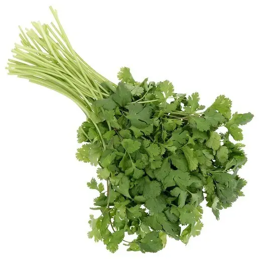Semilla Cilantro 10 grs2