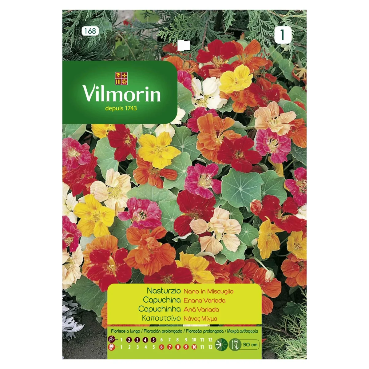 Sobre Semillas Vilmorin Capuchina Enana1