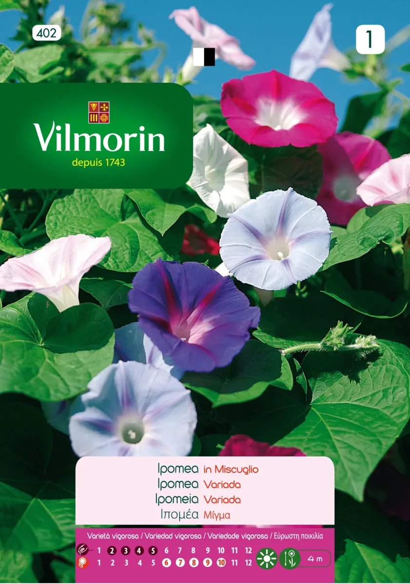 Sobre Semillas Vilmorin Ipomea / Suspiro1