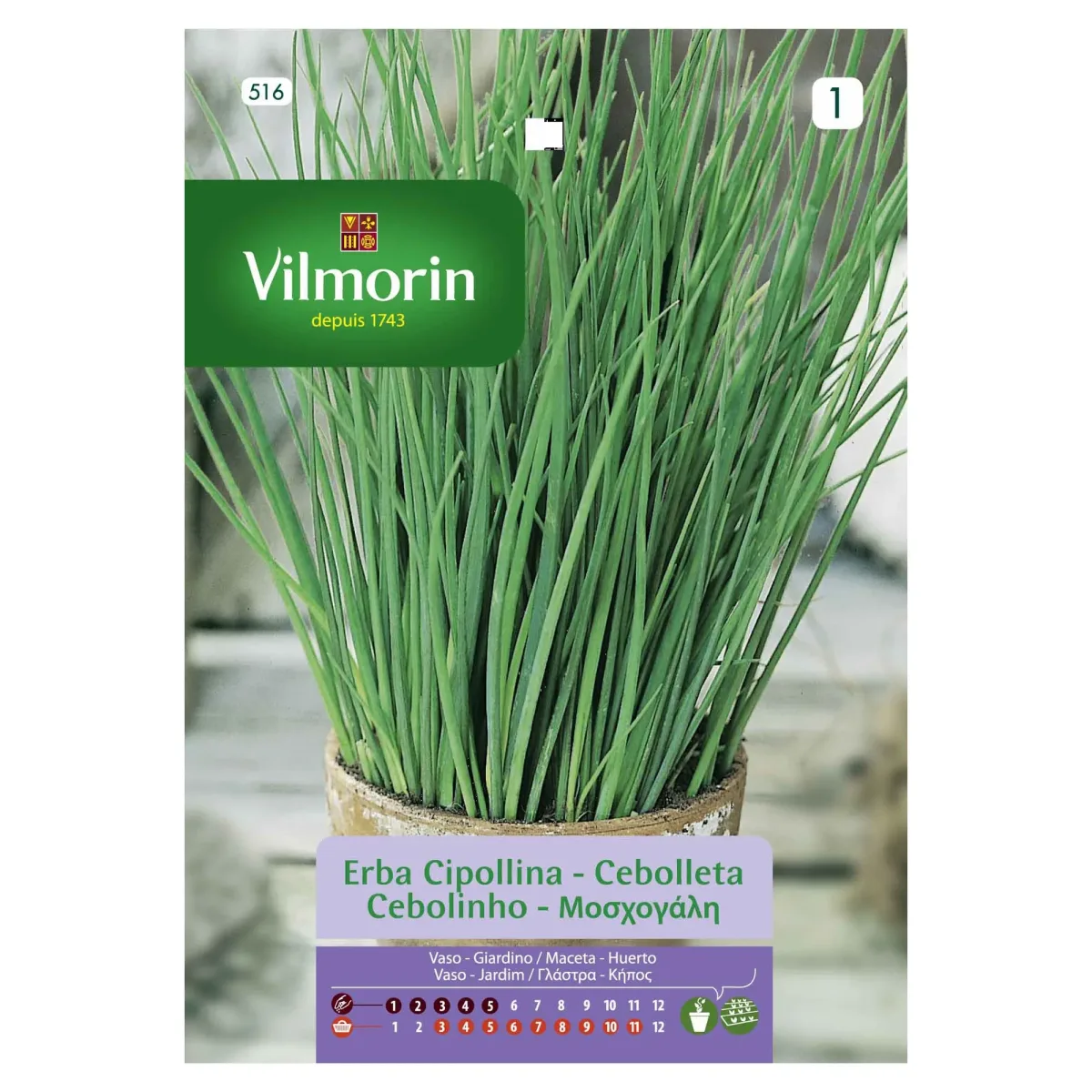 Sobre Semillas Vilmorin Ciboulette1
