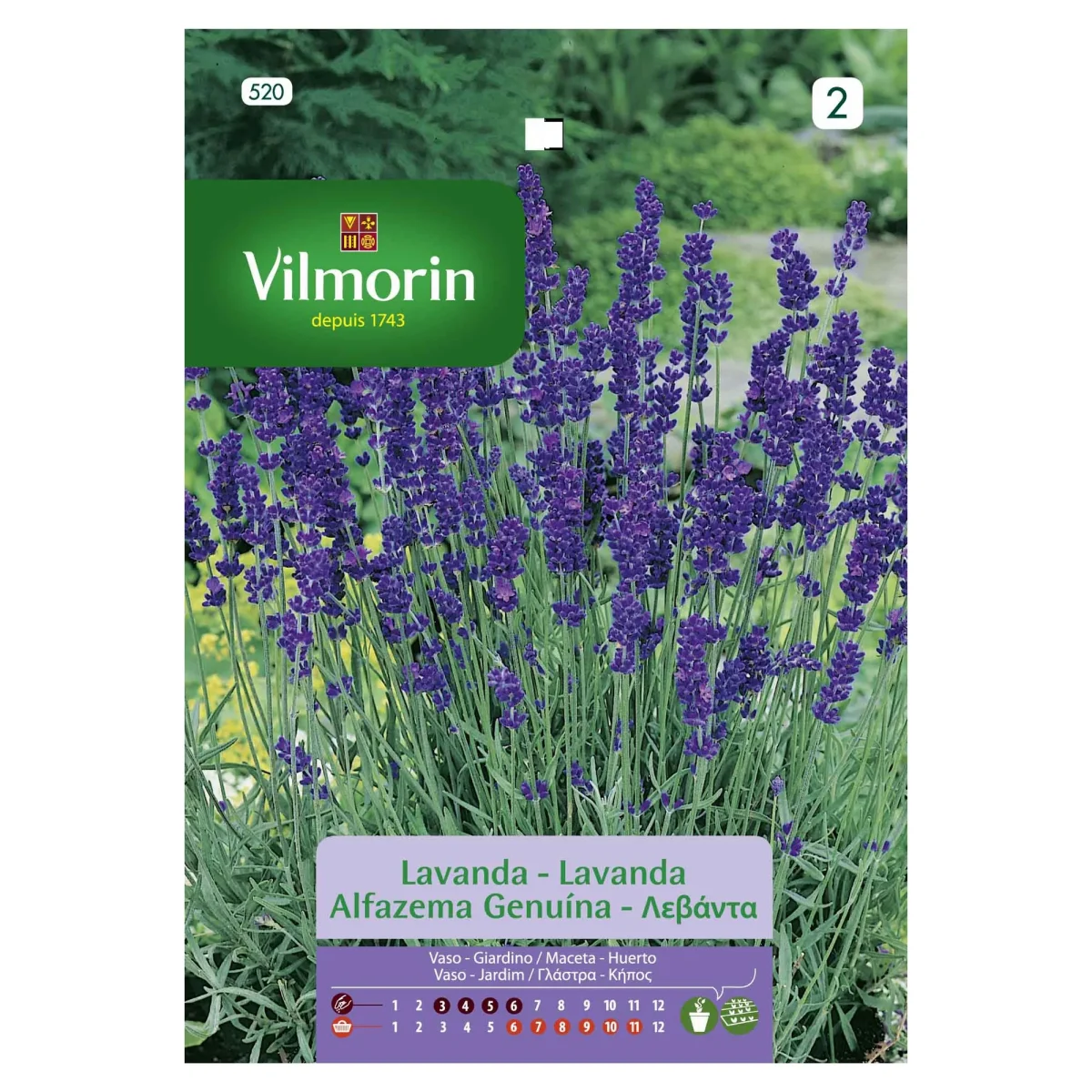 Sobre Semillas Vilmorin Lavanda1