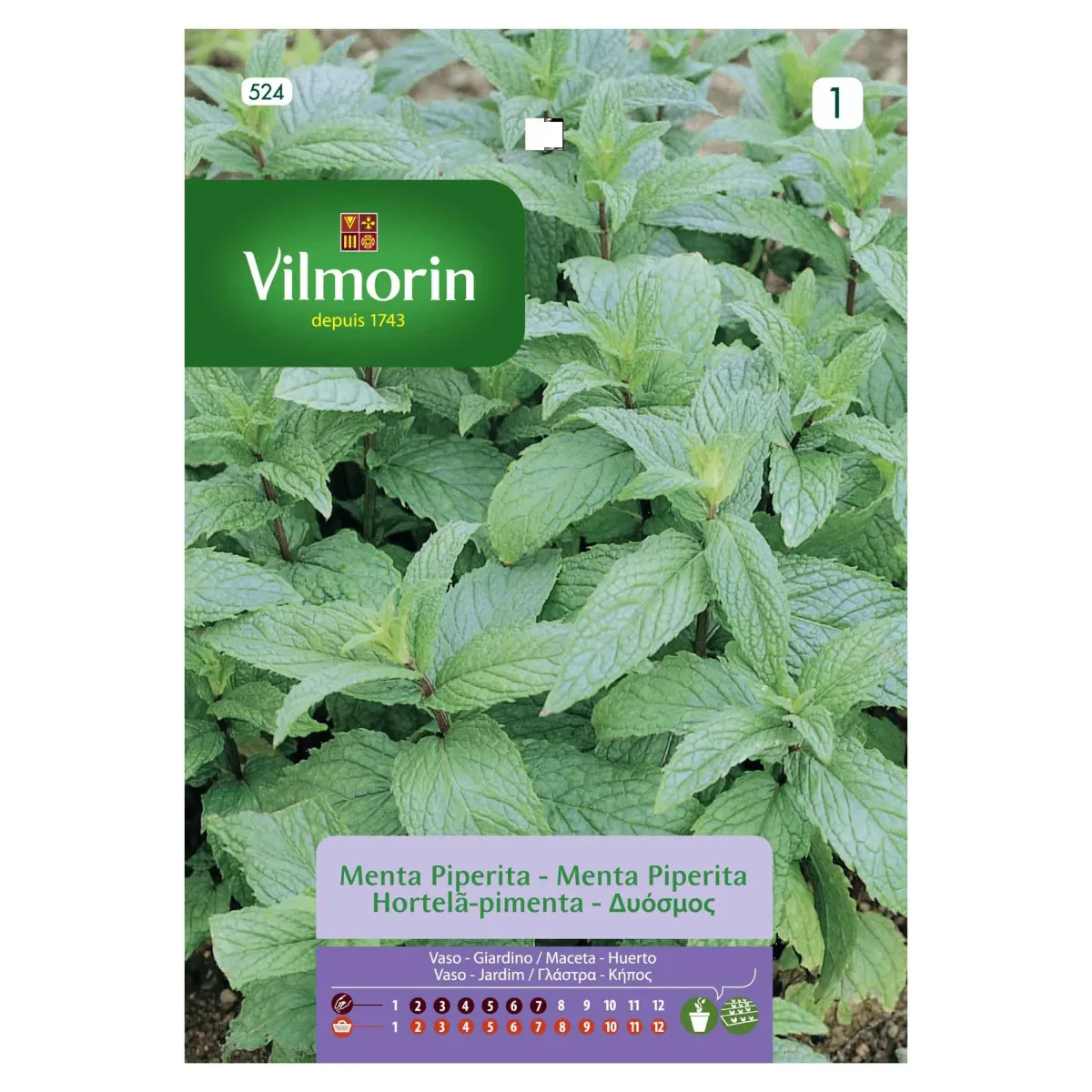 Sobre Semillas Vilmorin Menta Piperita1