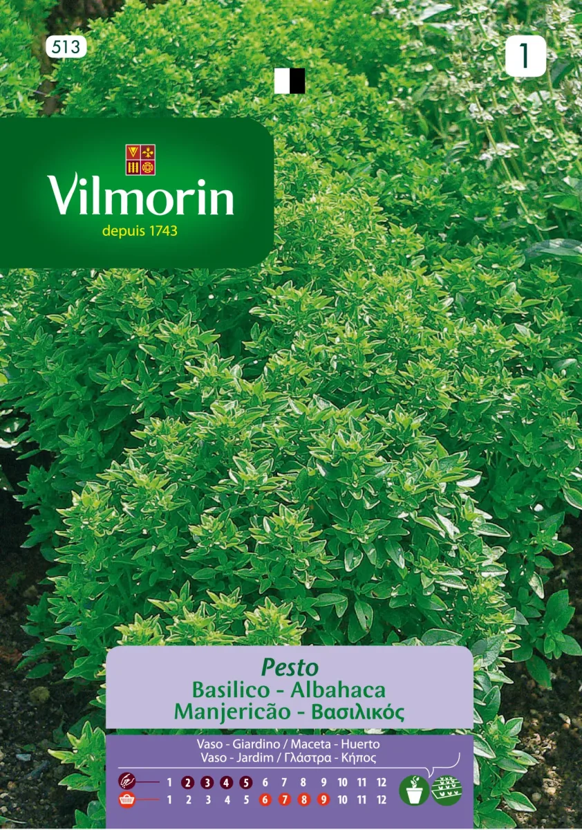 Sobre Semillas Vilmorin Albahaca Pesto1