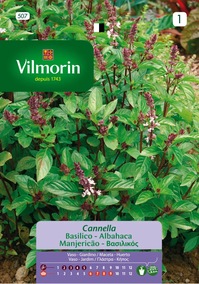 Sobre Semillas Vilmorin Albahaca Canela1