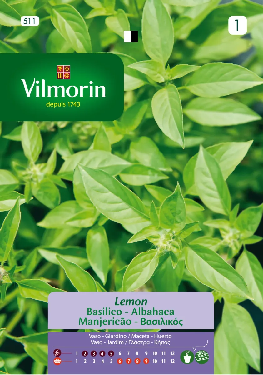 Sobre Semillas Vilmorin Albahaca Limon1