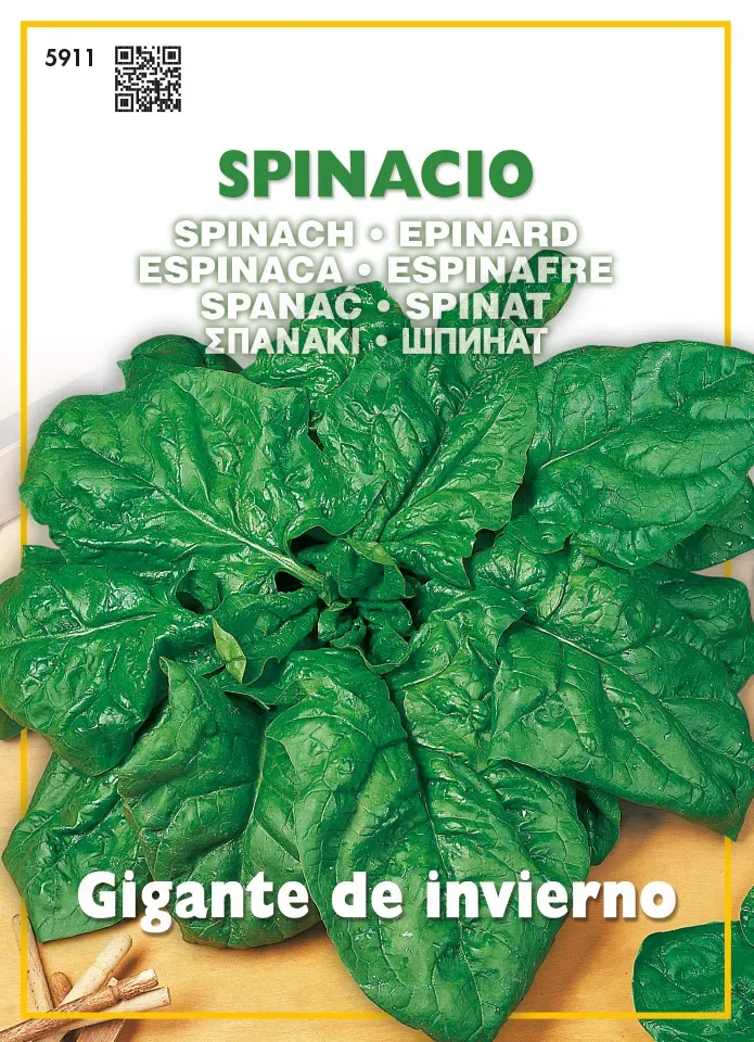 Sobre Semillas Ortovivo Espinaca Gigante1