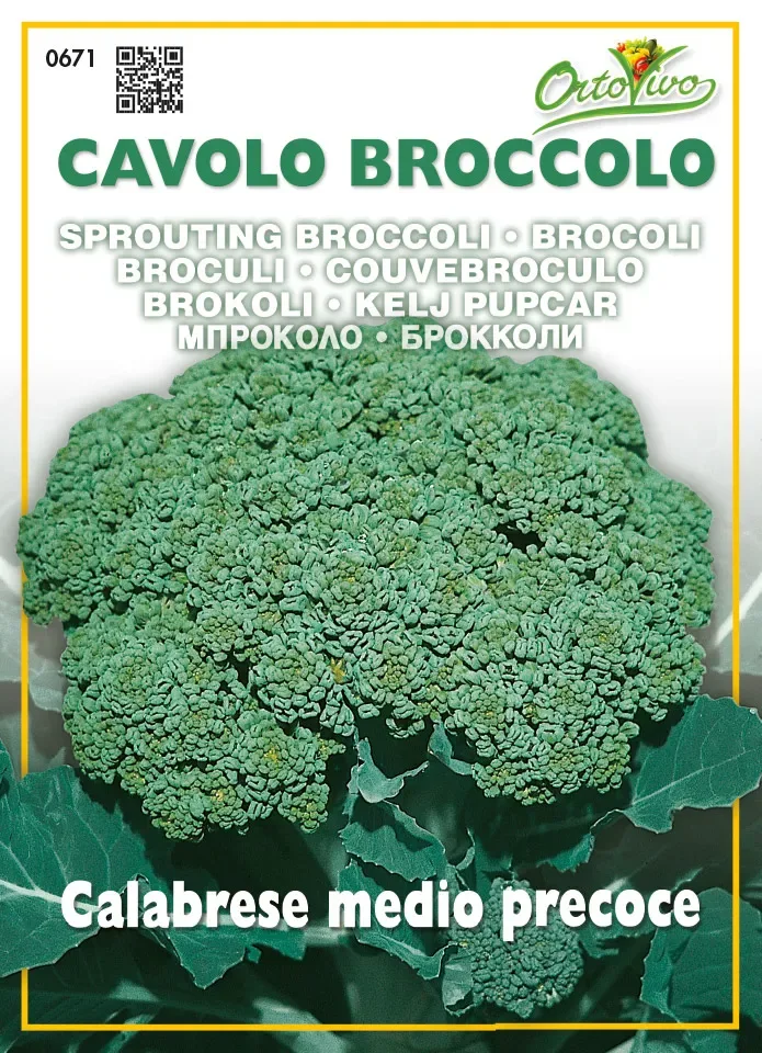 Sobre Semillas Ortovivo Brocoli Calabrese1