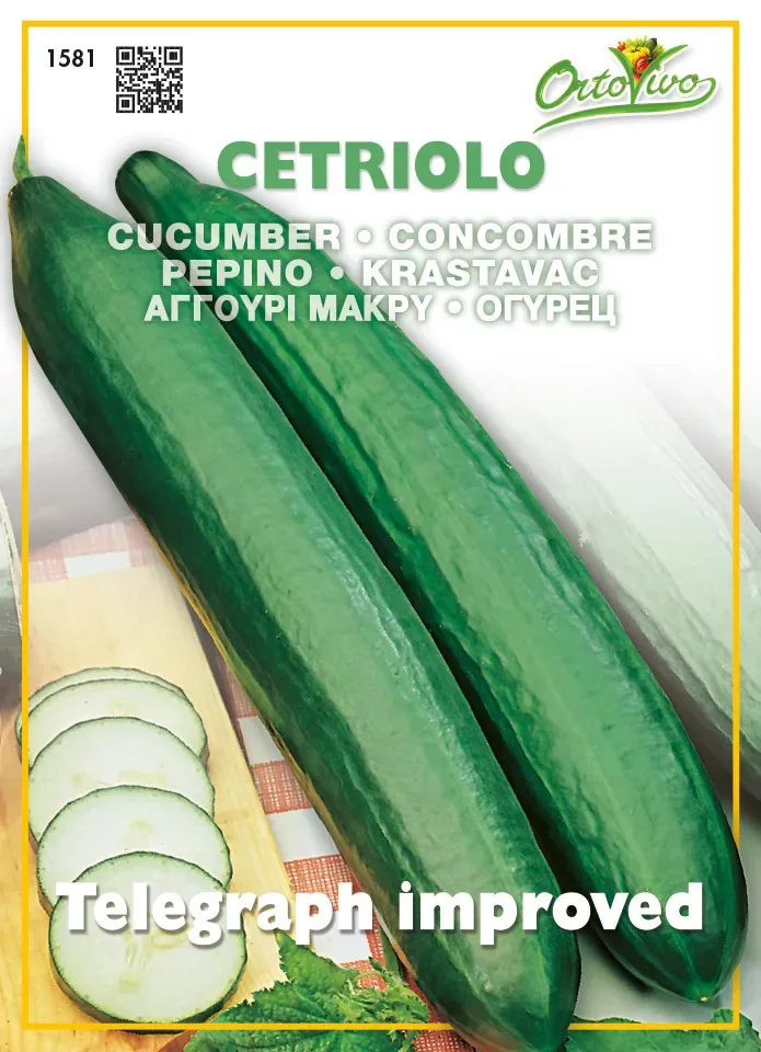Sobre Semillas Ortovivo Pepino Telegraph1