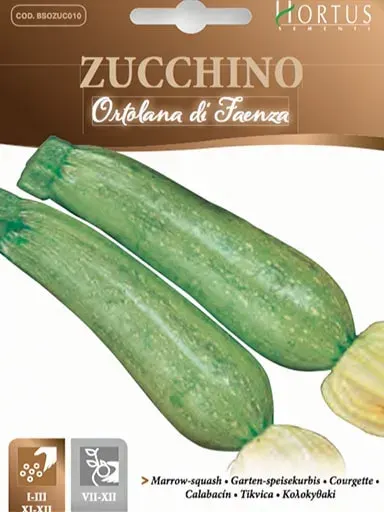 Sobre Semillas Ortovivo Zapallo Italiano Hortus Ortolana di faenza1