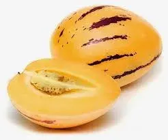 Planta Pepino Dulce Individual Grande3