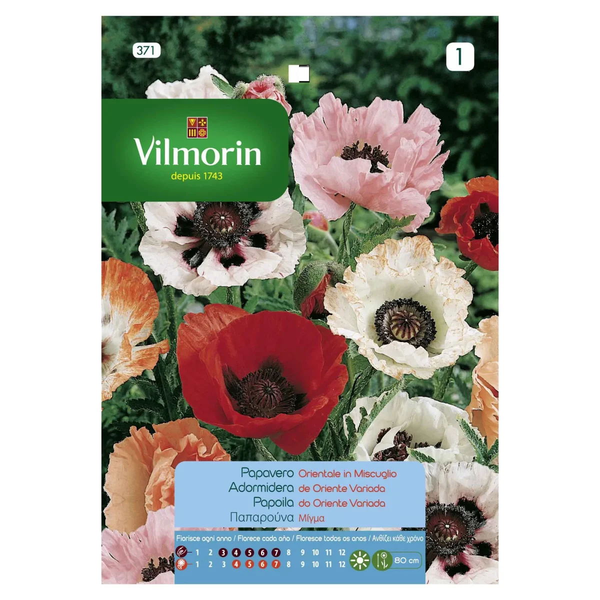 Sobre Semillas Vilmorin Adormidera1