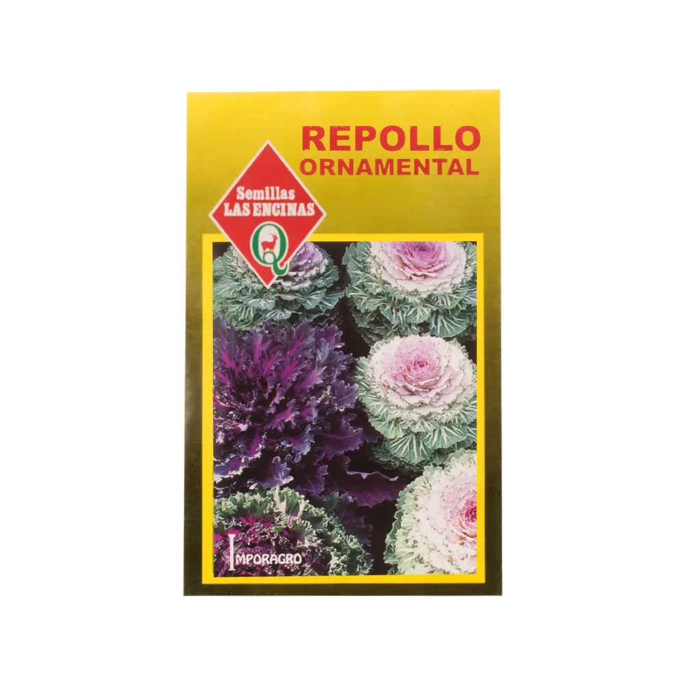 Semillas Sobre Las Encinas Repollo Ornamental1