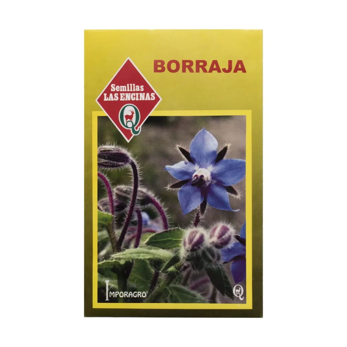 Semillas Sobre Las Encinas Borraja1