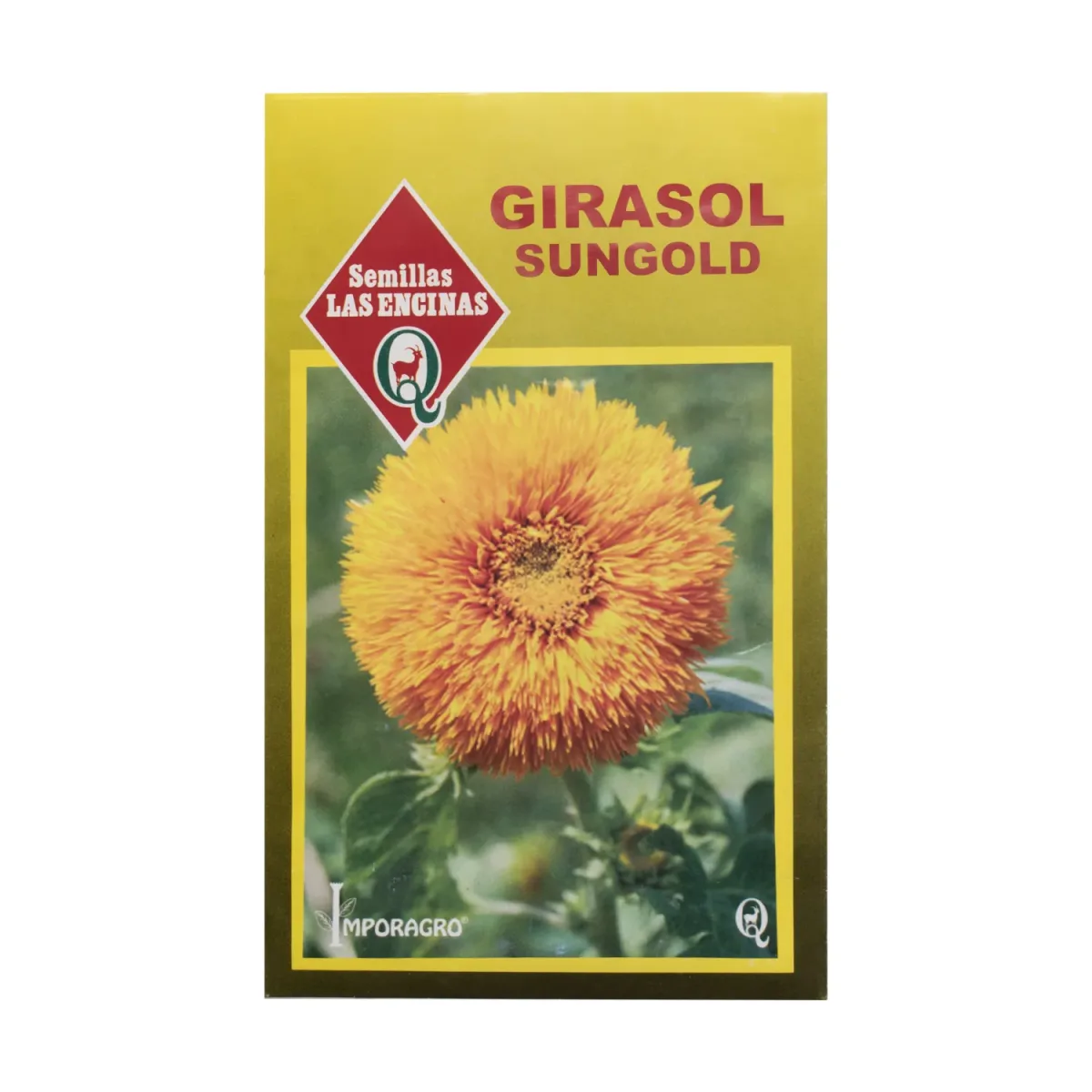 Semillas Sobre Las Encinas Girasol Sungold1