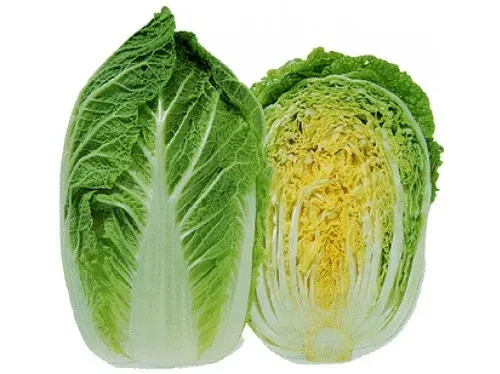 Semillas Bok Choi F1 1 gr.1
