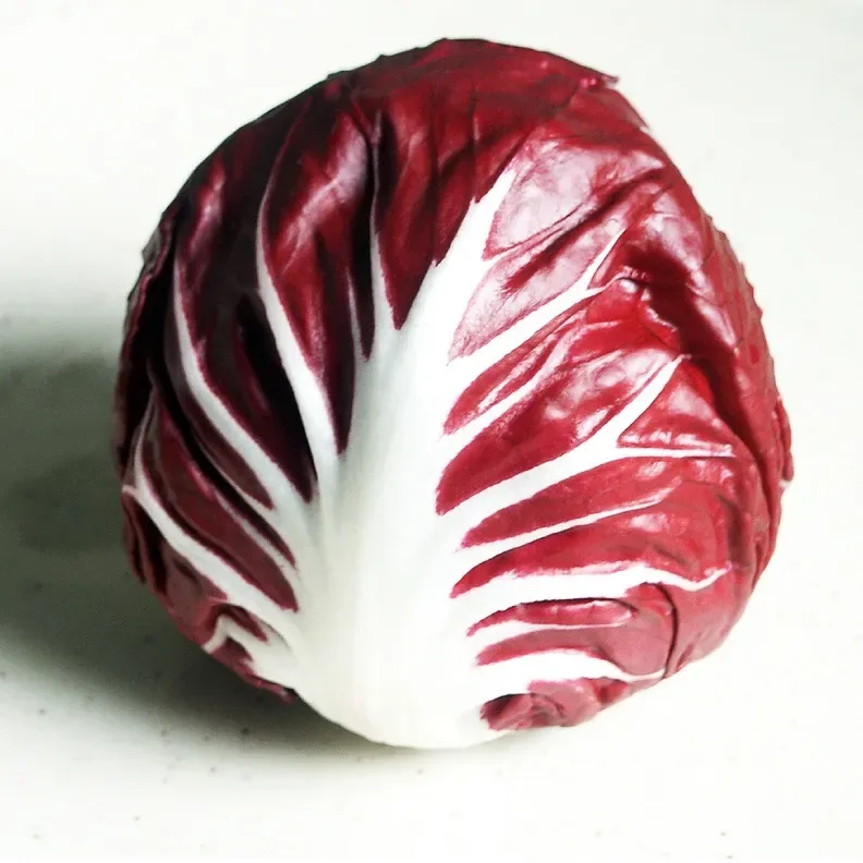 Semillas Radicchio di Verona (redondo) Sobre 1 gr1