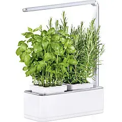 Jardin Indoor Grow Viviana1