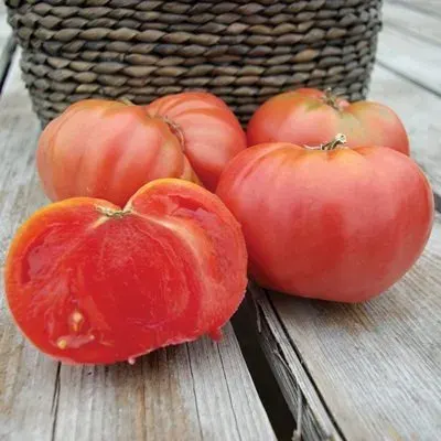Sobre Semillas Tomate Antiguo Orgánico # 33 Chianti Rose 5 Semillas1