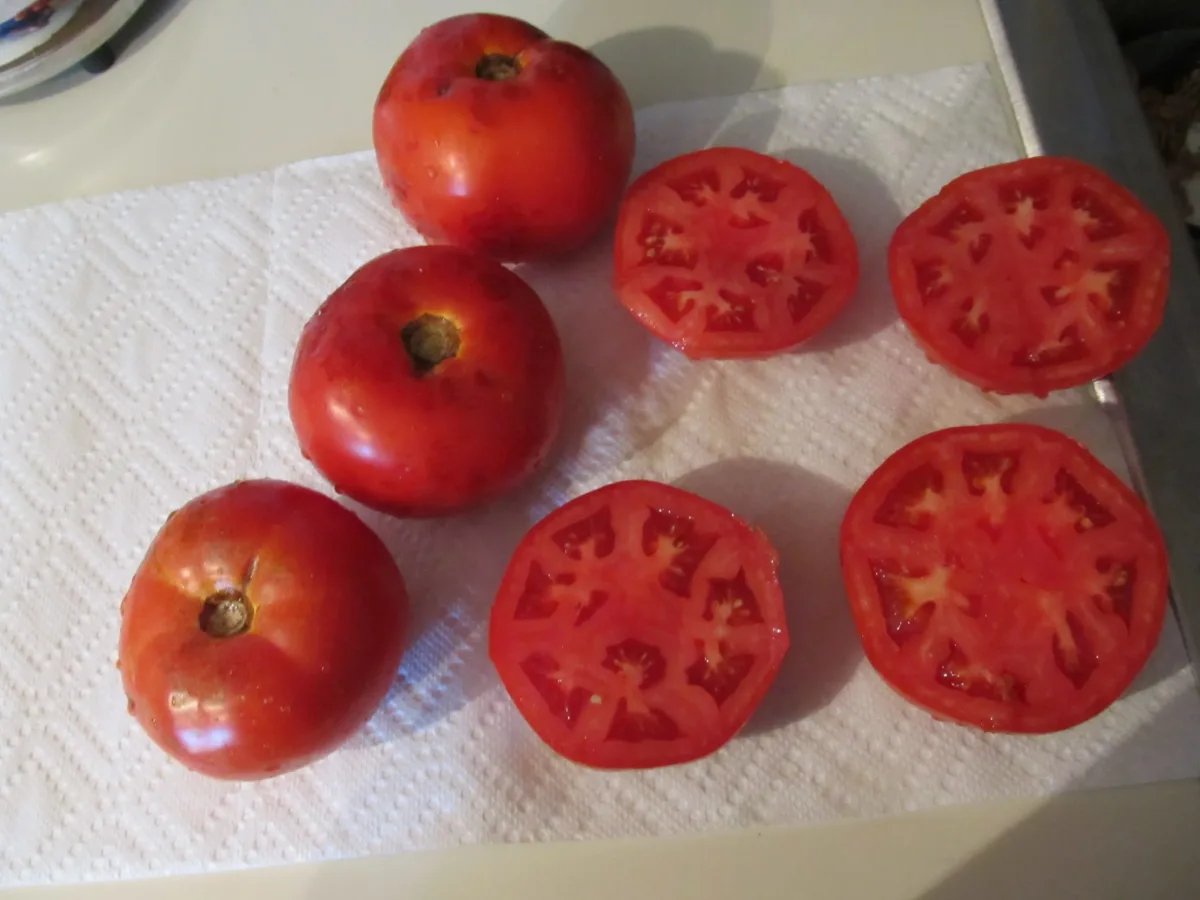 Sobre Semillas Tomate Antiguo Orgánico # 32 Julia Child 10 Semillas1