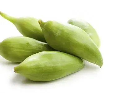 Caigua Orgánica 10 semillas1