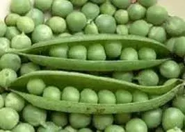 Semillas Arvejas Freezer 20 grs1