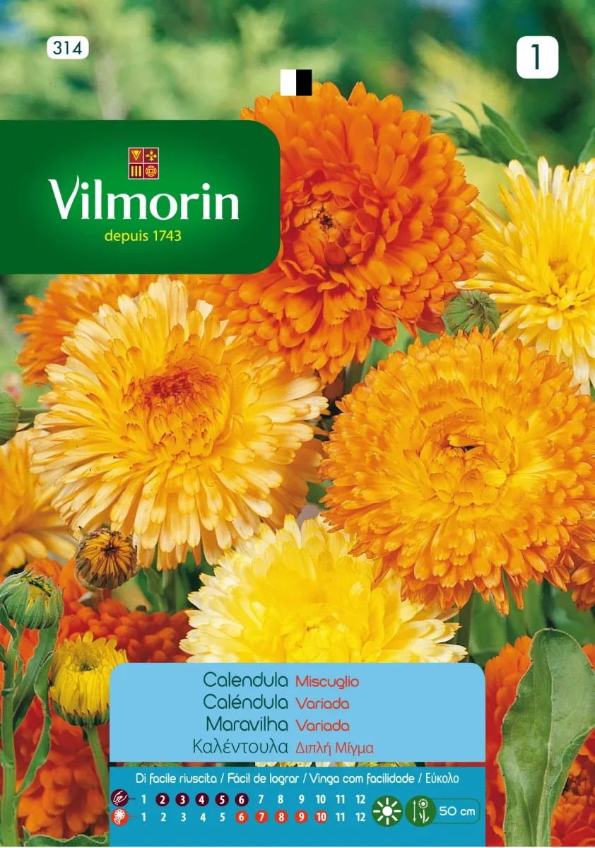 Sobre Semillas Vilmorin Caléndula Variada1
