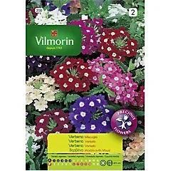 Sobre Semillas Vilmorin Flores Verbena Variada1