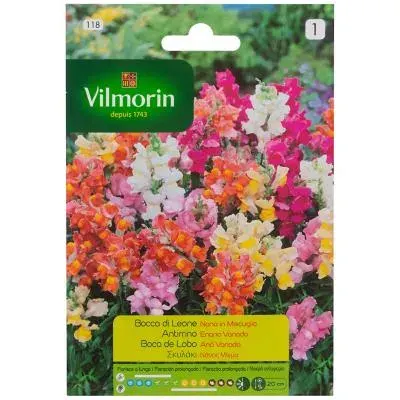 Sobre Semillas Vilmorin Flores Perrito Enano Variado1
