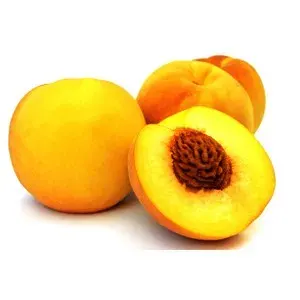 Árbol Frutal Durazno Phillips Cling Injertado ( Conservero )1