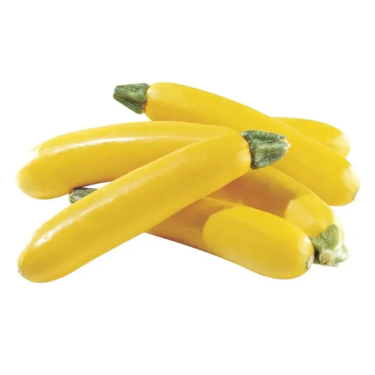 Semillas Zapallo Italiano Amarillo 1 gramo1