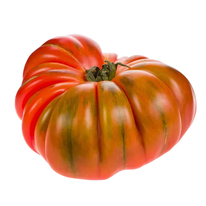 Sobre Semillas Tomate Antiguo Orgánico # 44 Raf 15 Semillas1