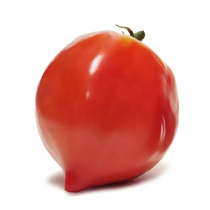 Sobre Semillas Tomate Antiguo Orgánico # 43 Cuor di Bue (Corazón de Buey) 10 Semillas1
