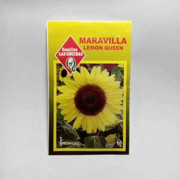 Semillas Sobre Las Encinas Maravilla Lemon Queen1